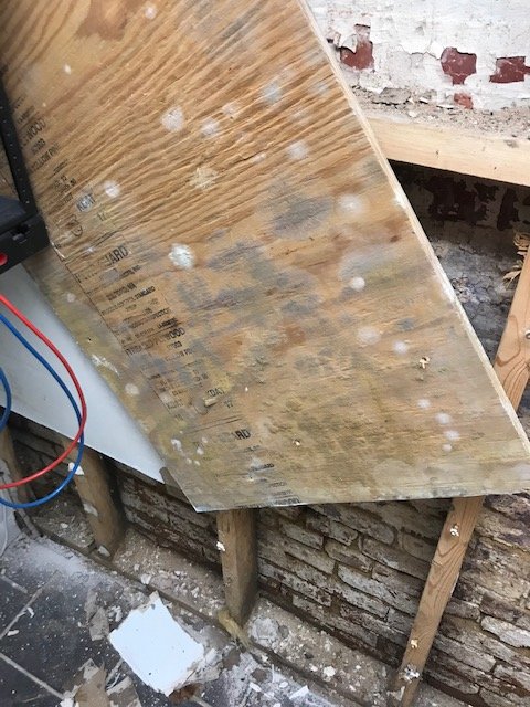 Photo of Rapid Response Restoration