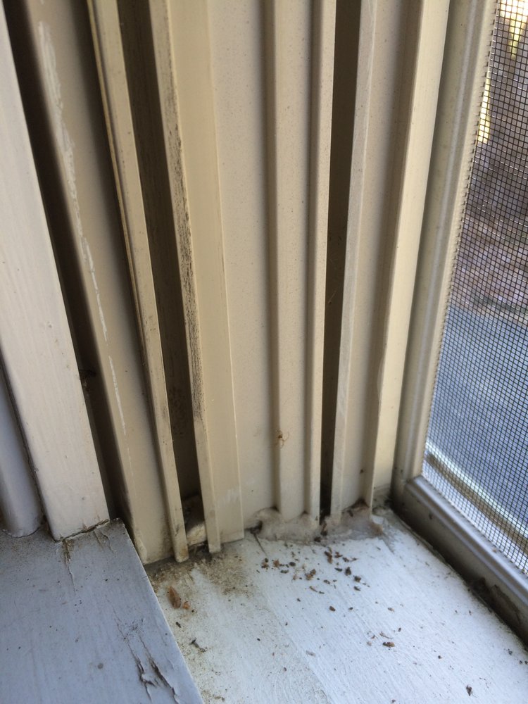 Photo of Chicago Window Repair