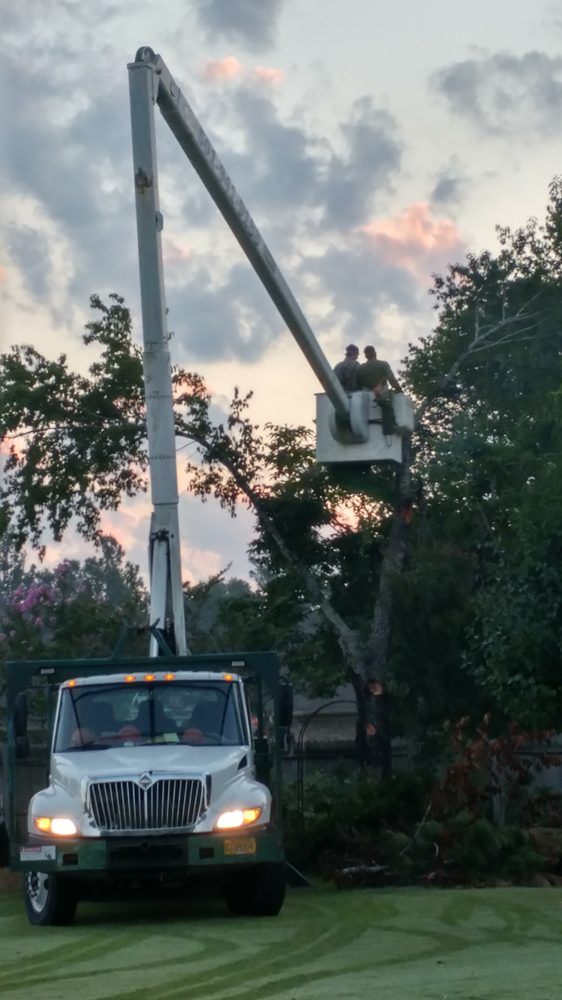 Photo of Rowland Tree Service
