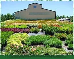 Photo of Spring Gardens Nursery