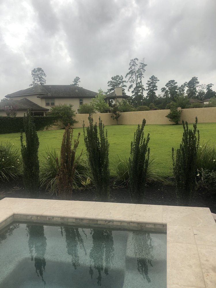 Photo of Spring Gardens Nursery