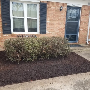 Photo of Francisco & SA Lawn Service