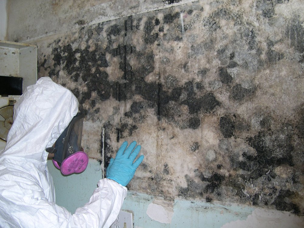 Photo of Orange Restoration - San Diego