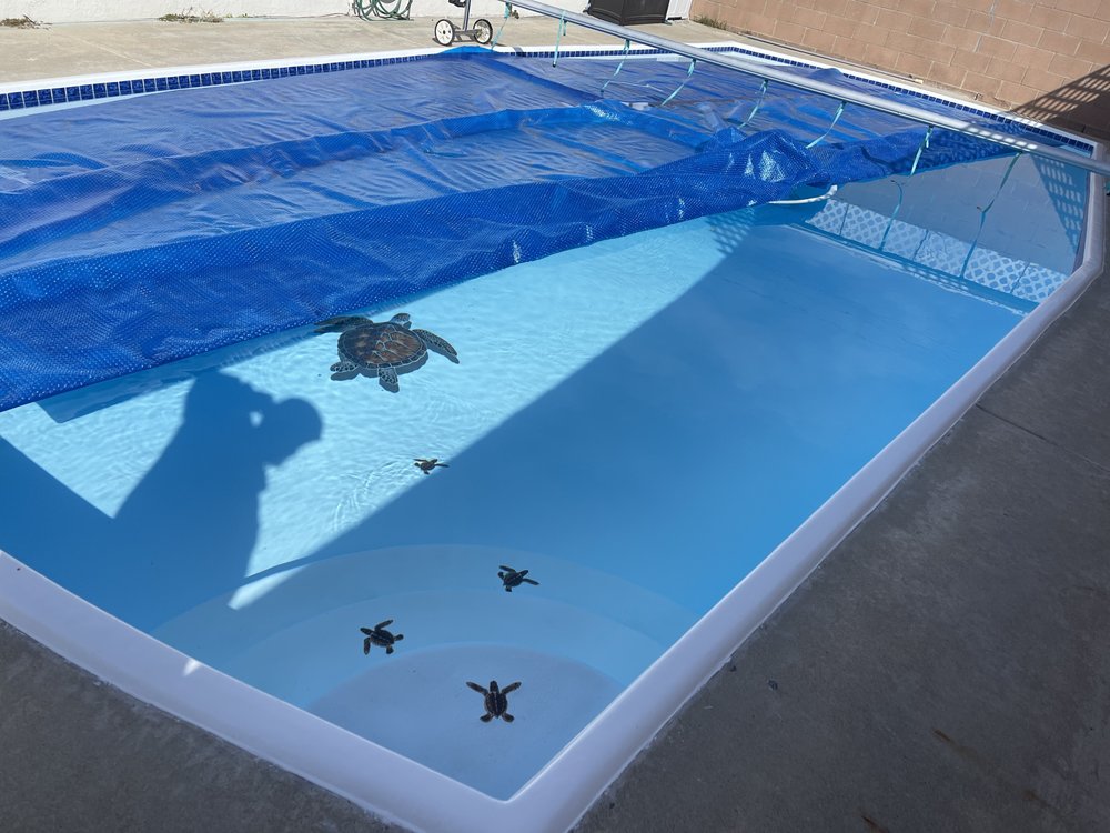 Photo of Pool Surfacing 2000