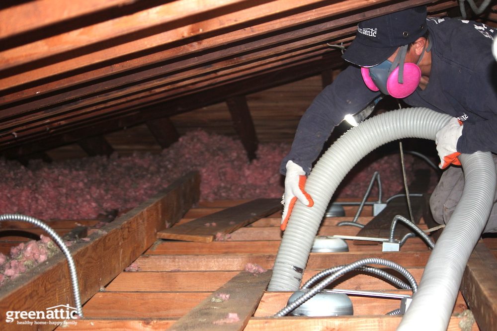 Photo of Green Attic