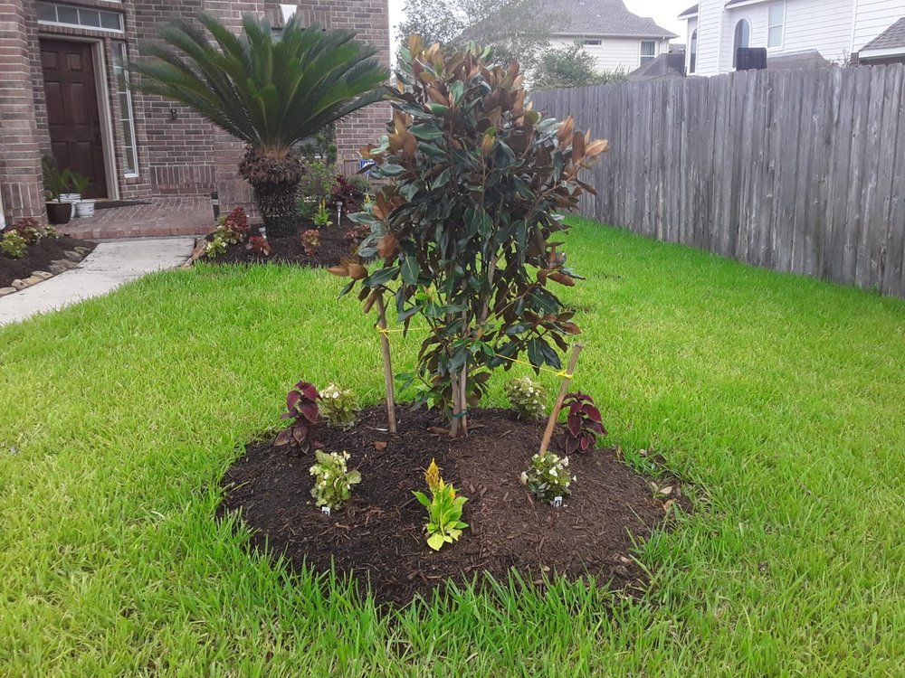 Photo of Carlos Landscaping Service
