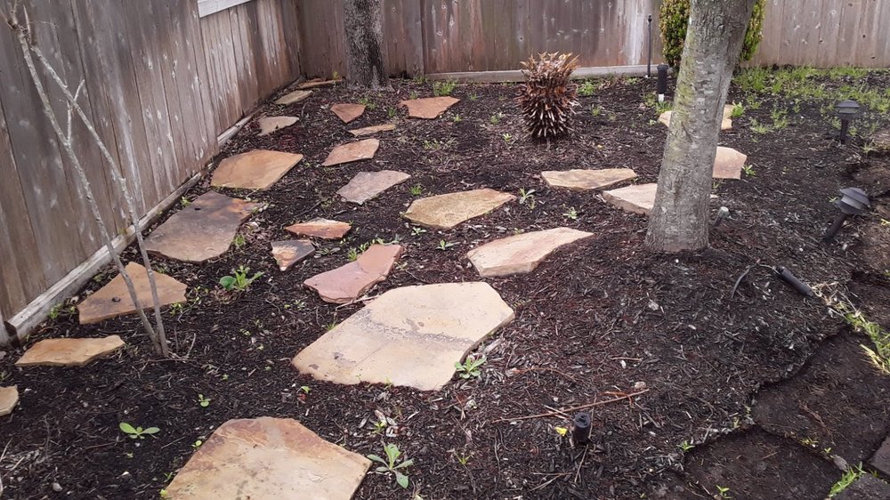 Photo of Carlos Landscaping Service