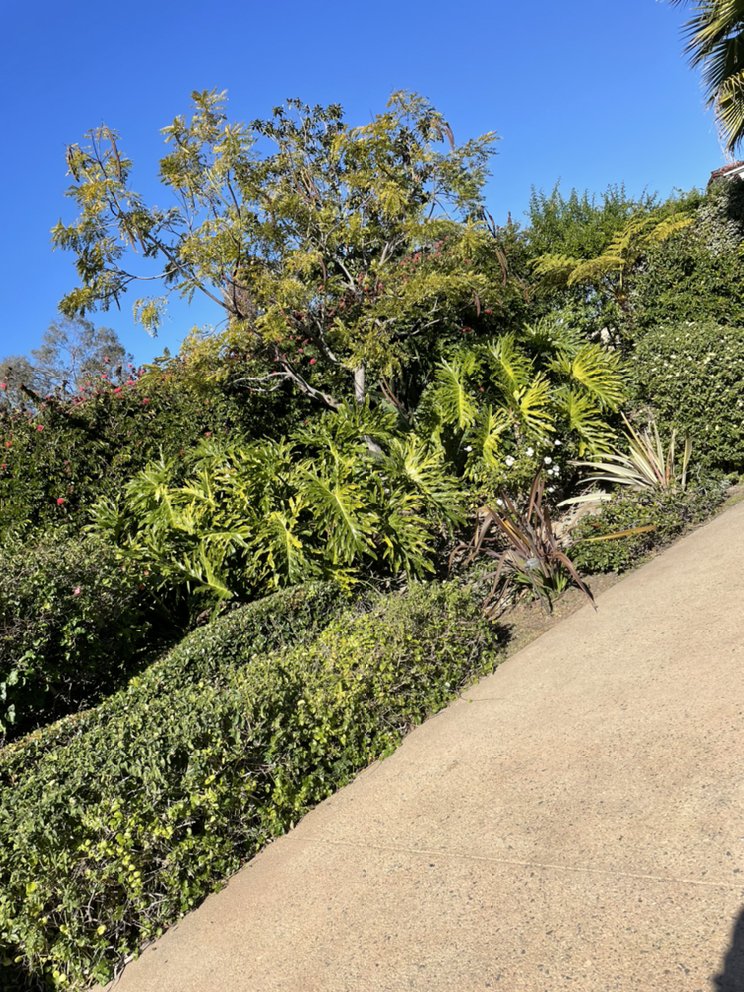 Photo of Green Earth landscape
