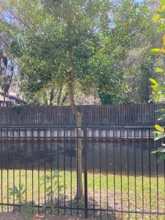 Photo of Show Me Tree Service