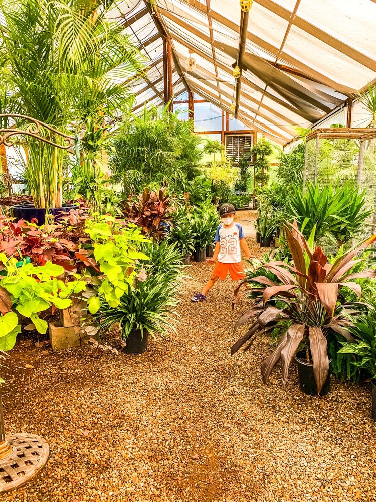 Photo of Whitfill Nursery
