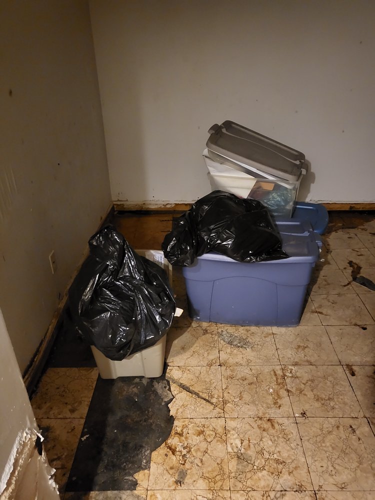 Photo of Knee Deep Water & Mold Removal