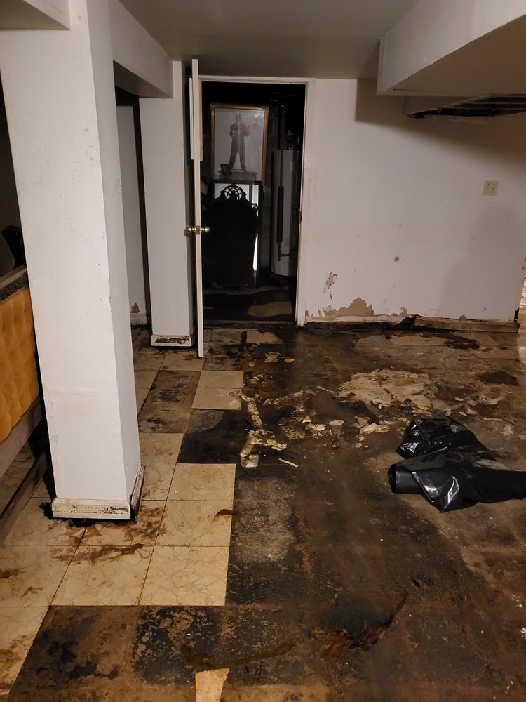 Photo of Knee Deep Water & Mold Removal