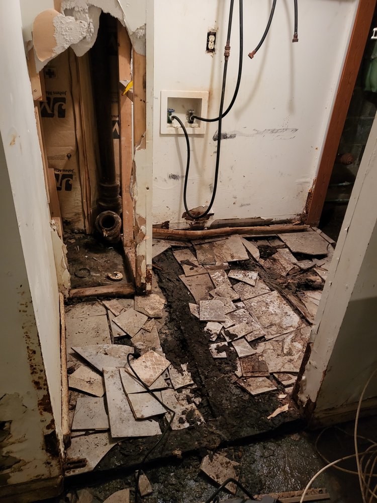 Photo of Knee Deep Water & Mold Removal