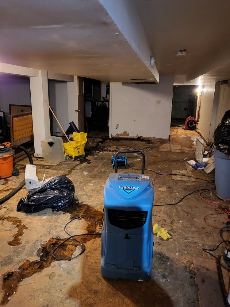 Photo of Knee Deep Water & Mold Removal