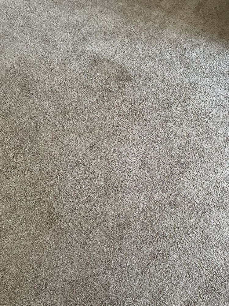 Photo of Diamond Bright Carpet Cleaning Services