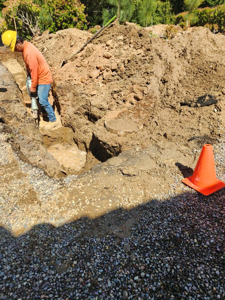Photo of Dutch Drain