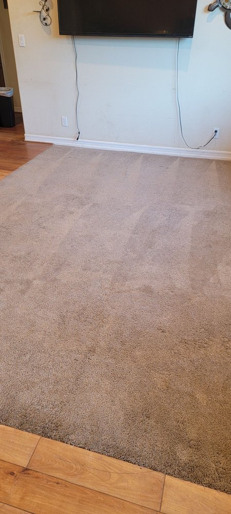 Photo of Healthy Carpet Care