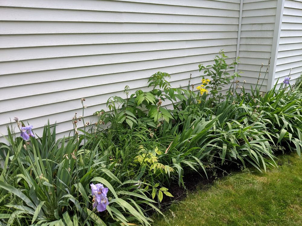 Photo of E & L Lawn Care