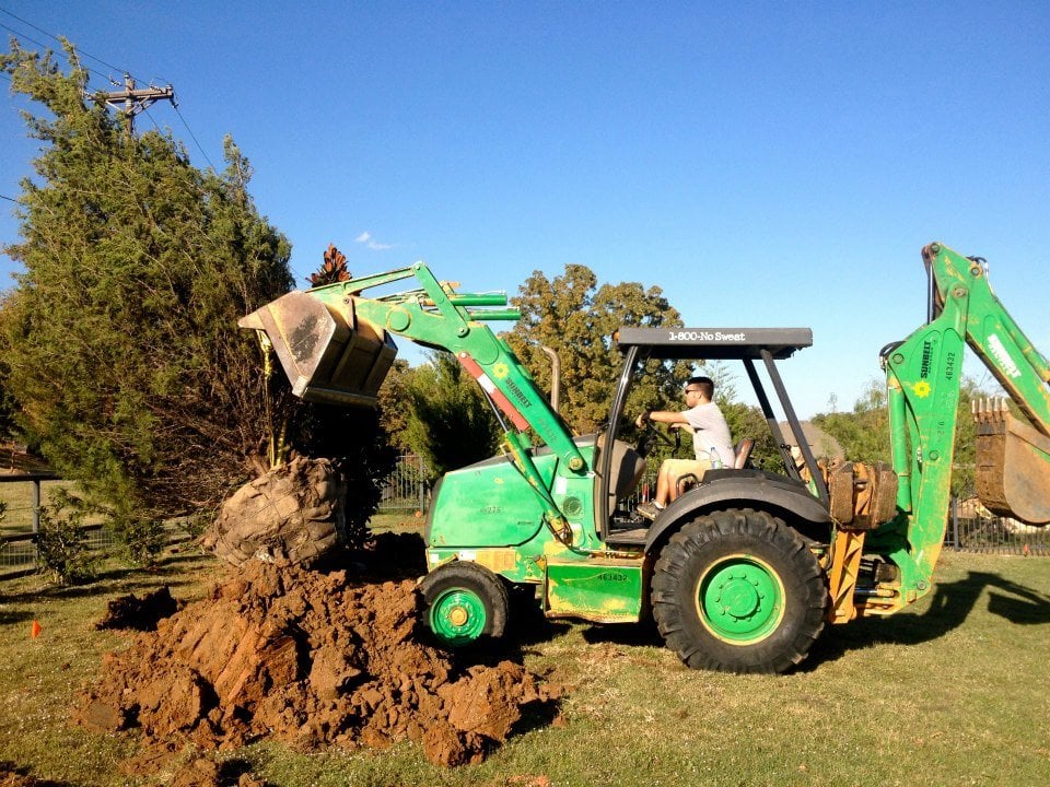Photo of Premier Oaks Landscape Management