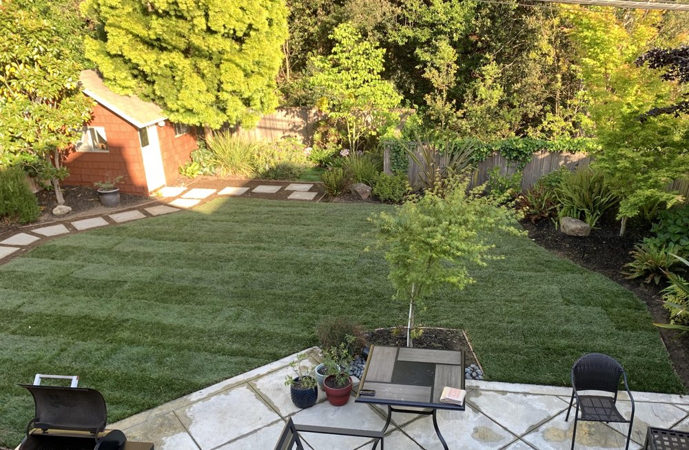Photo of Rafael Landscaping Services