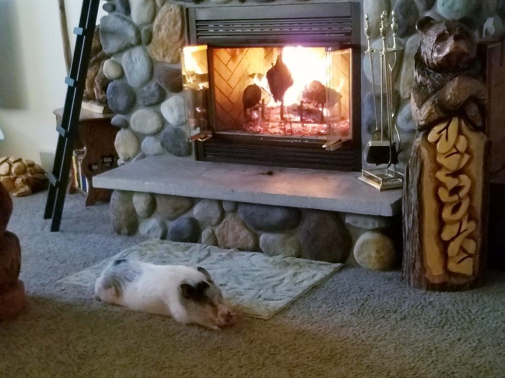 Photo of Rock River Chimney & Fireplace