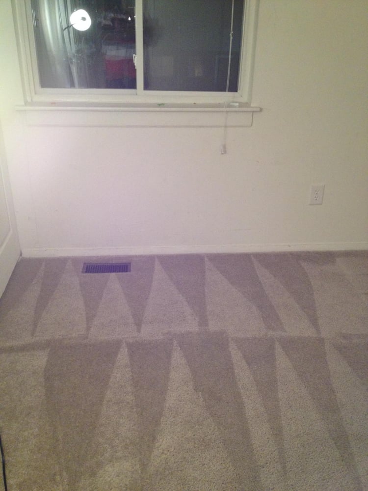 Photo of Big Bird Carpet Cleaning