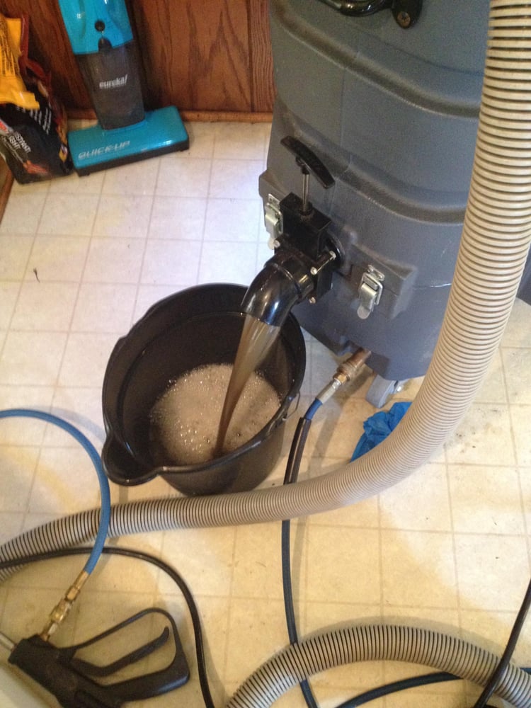 Photo of Big Bird Carpet Cleaning