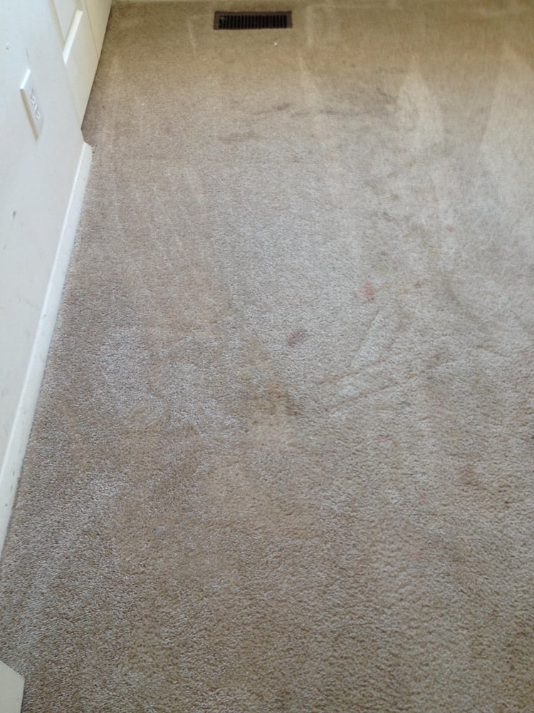 Photo of Big Bird Carpet Cleaning