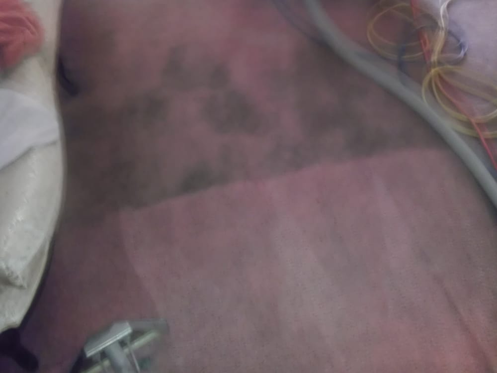 Photo of D-Lux Carpet Cleaning