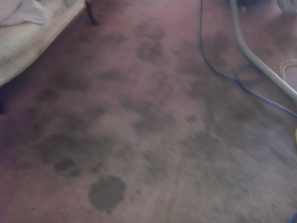 Photo of D-Lux Carpet Cleaning