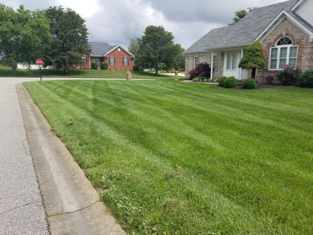 Photo of Gator Lawncare