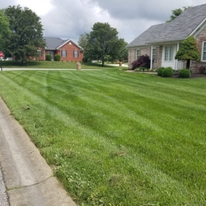 Clarksville Gator Lawncare