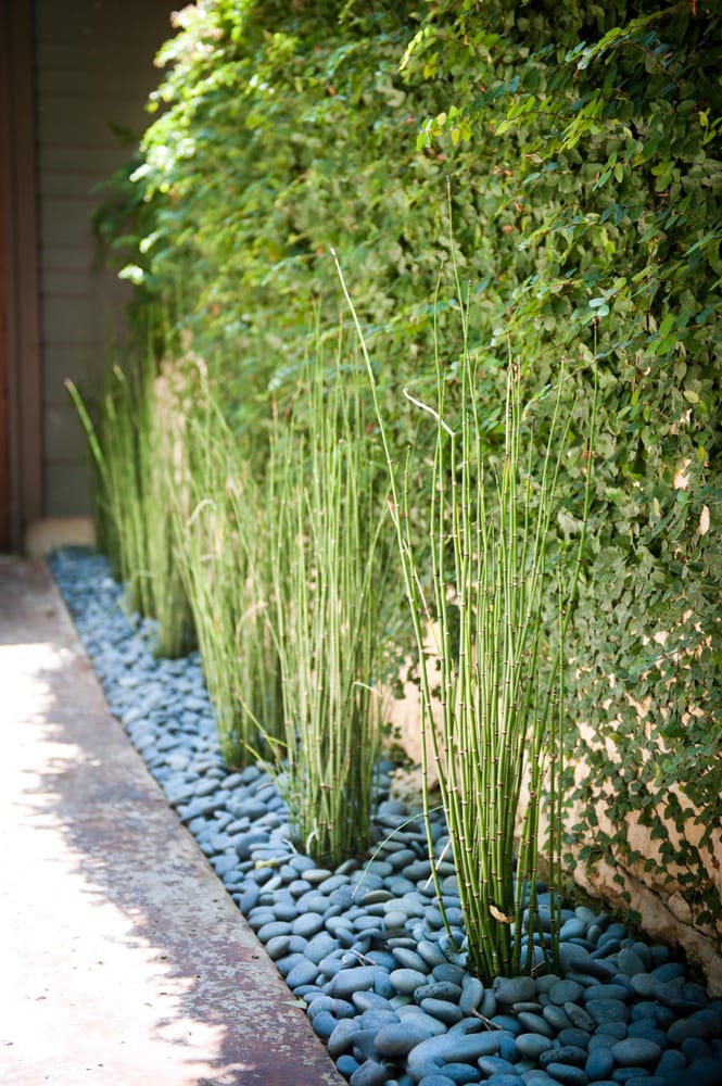 Photo of BLUE Renovation & Landscape
