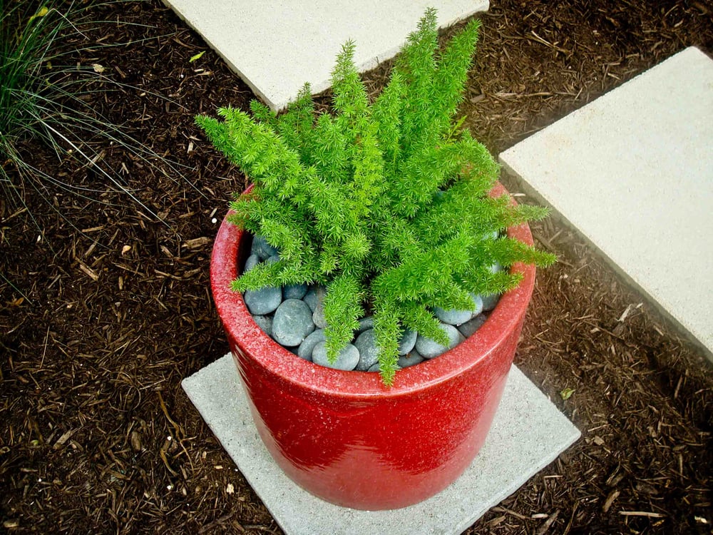 Photo of BLUE Renovation & Landscape