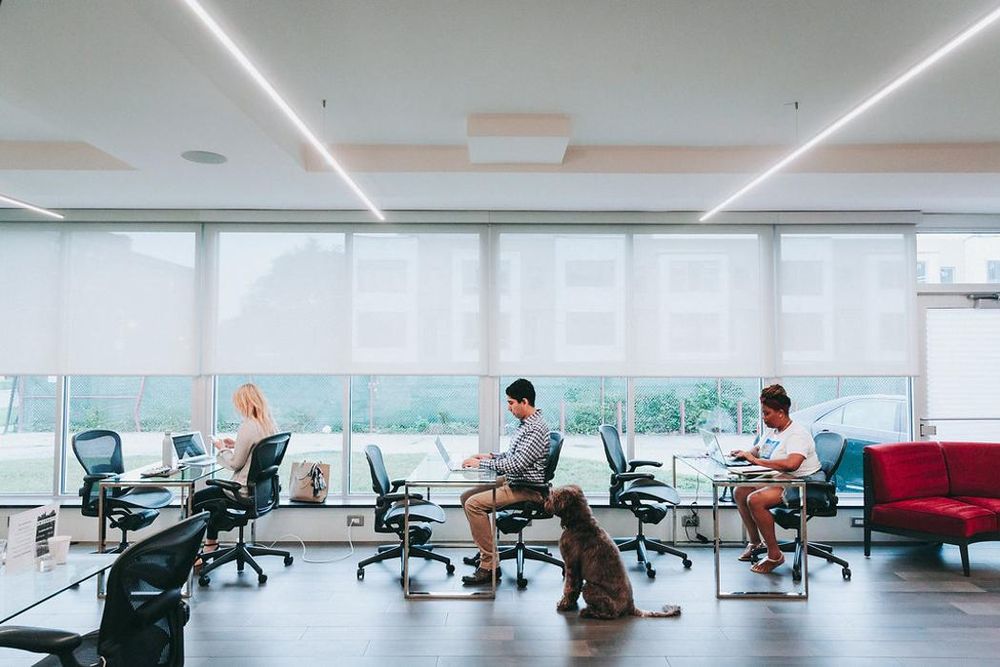 Photo of University CoWork