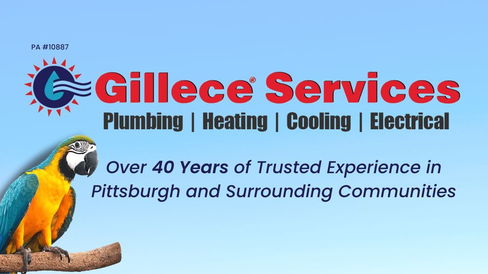 Photo of Gillece Services