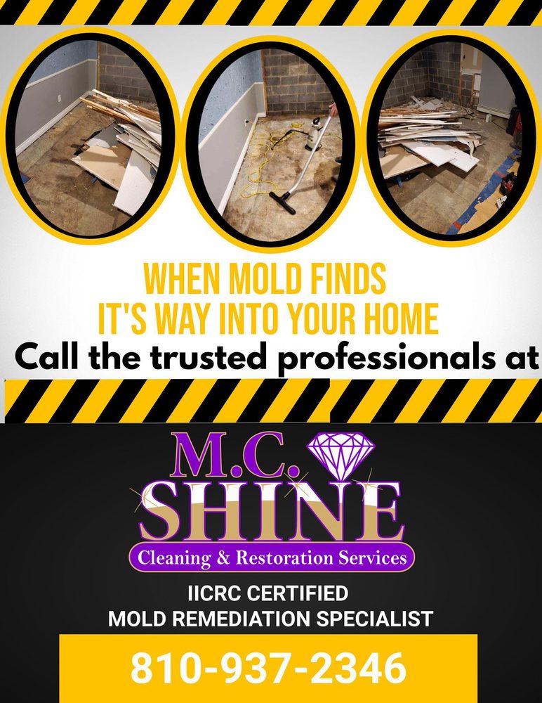 Photo of M.C. Shine Cleaning & Restoration Services