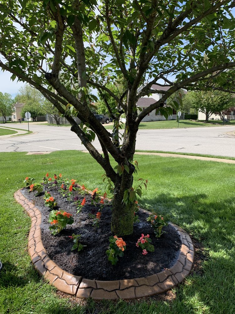 Photo of Dawn To Dusk Landscaping