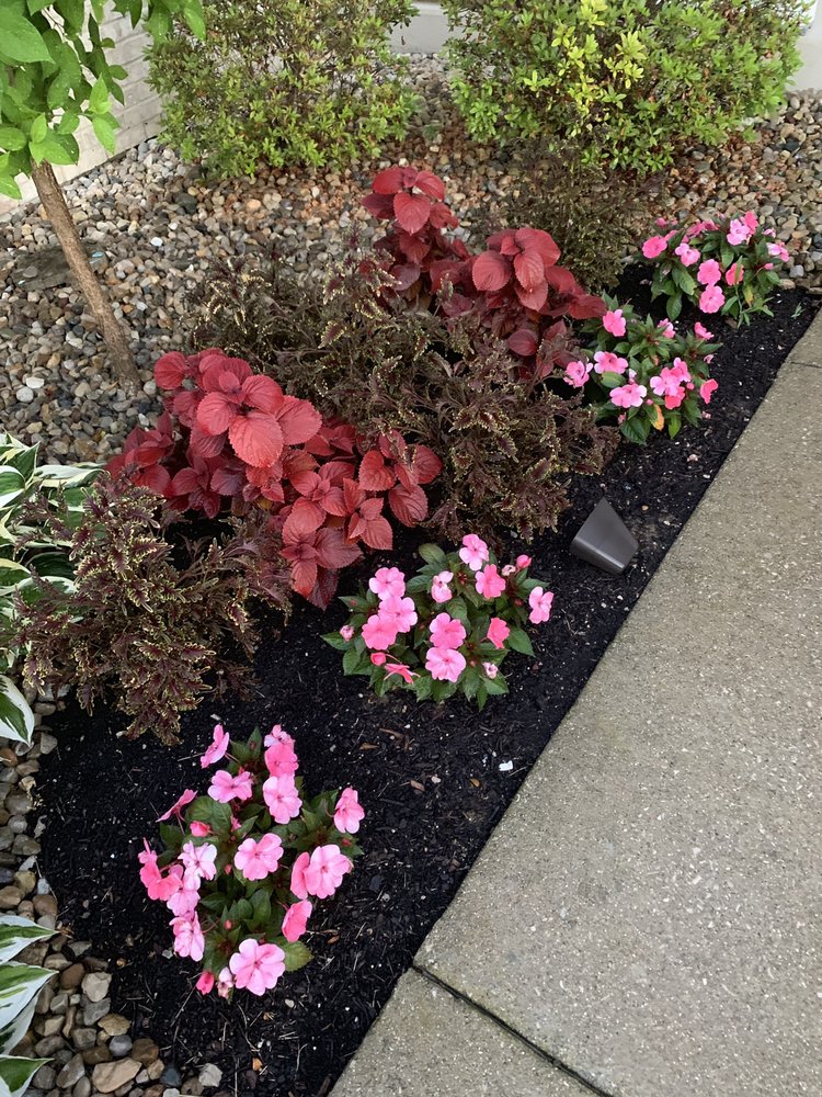 Photo of Dawn To Dusk Landscaping