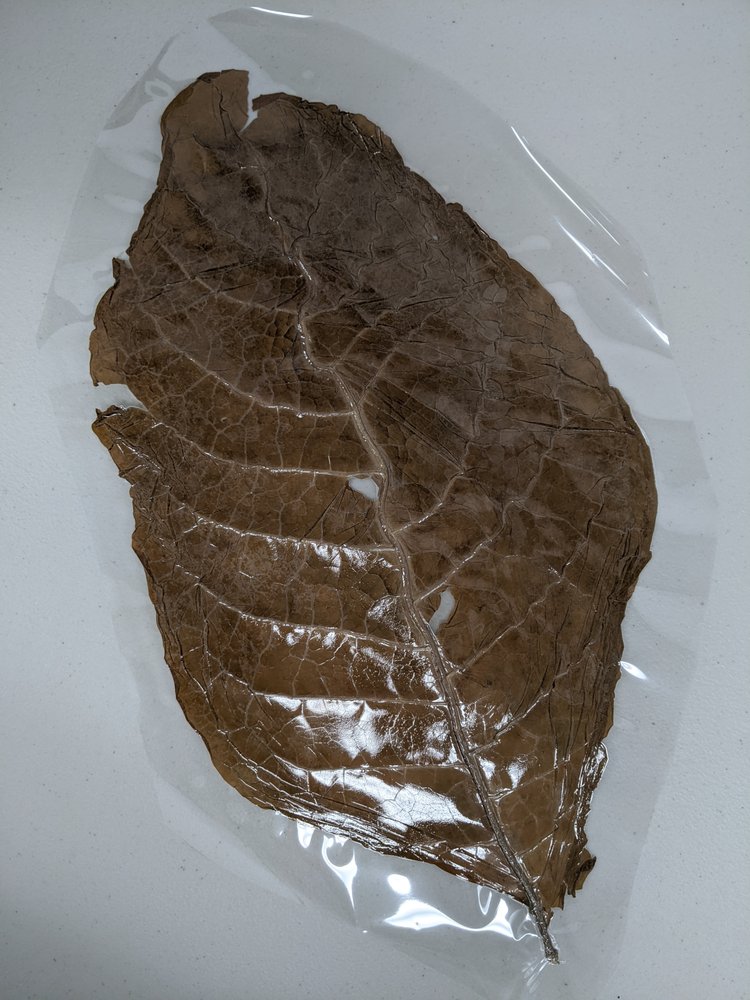 Photo of Cigar Row Events