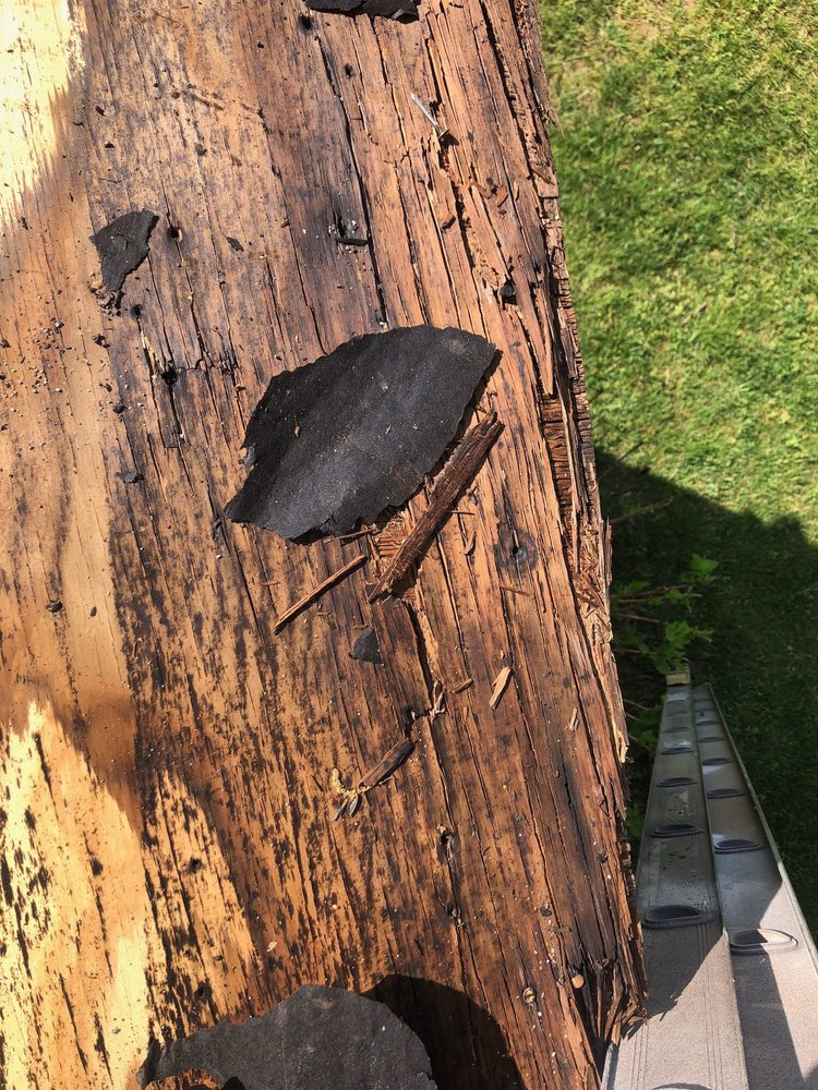 Photo of Weather Guard Improvements Md