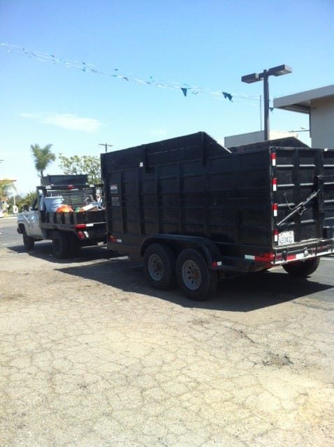 Photo of Silverback Hauling