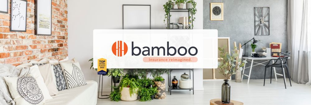 Photo of Bamboo Insurance