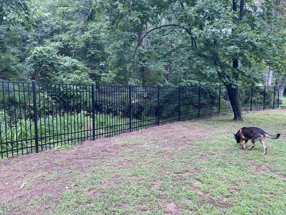 Photo of Freedom Fence