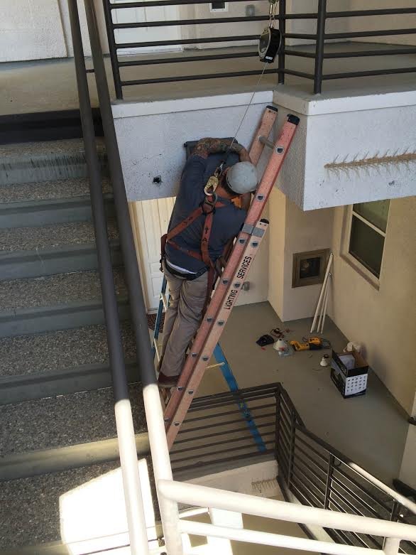 Photo of Lighting Services of Nevada