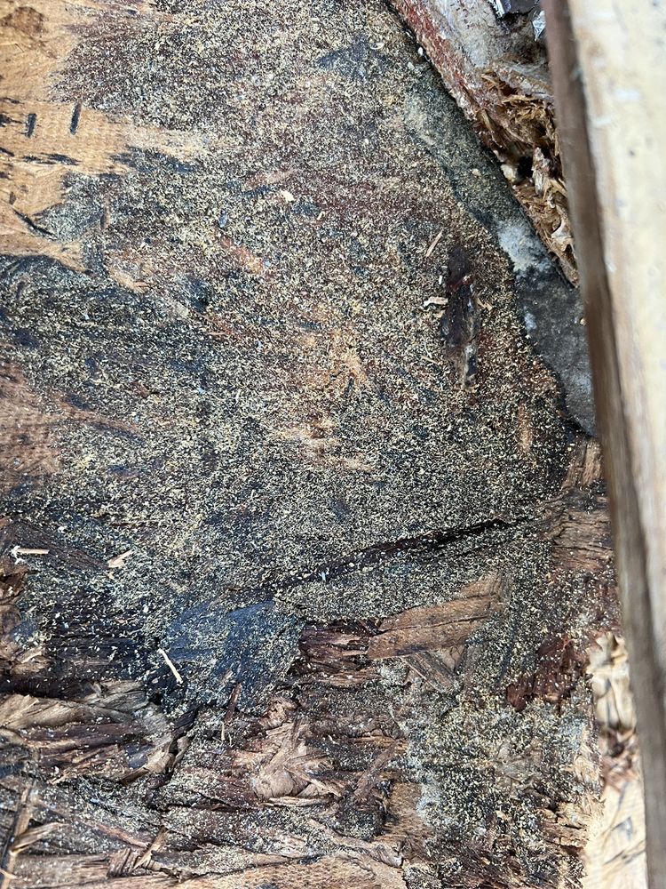 Photo of Roof Fix
