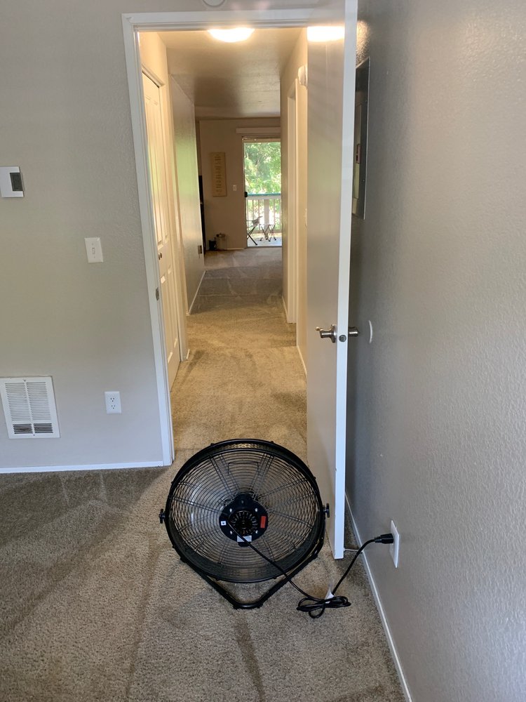 Photo of Candido's Carpet Cleaning