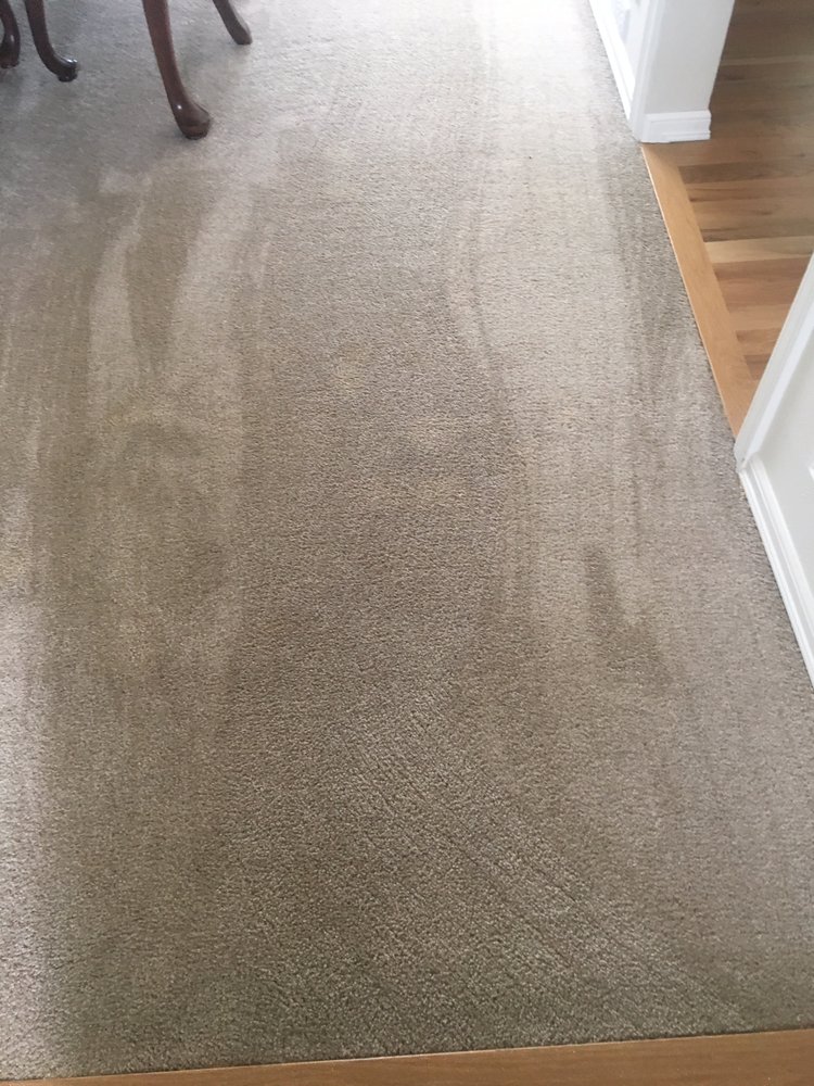 Photo of Green Planet Carpet Cleaning