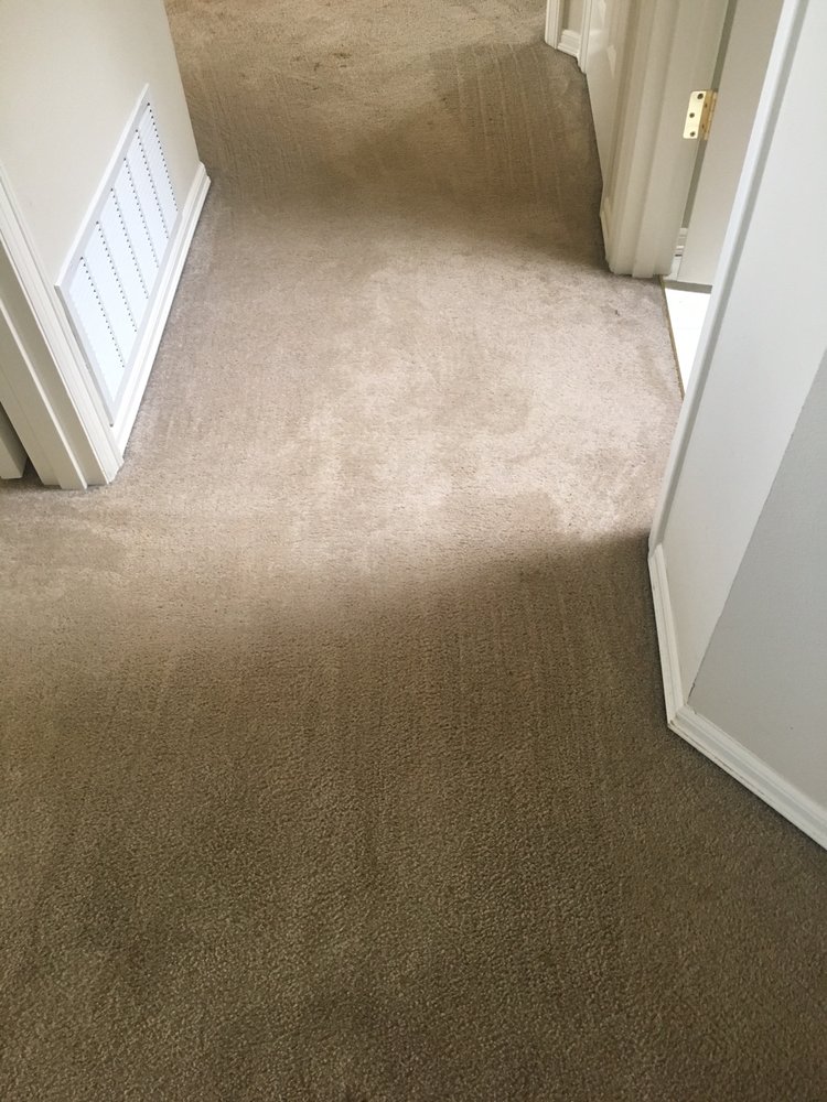 Photo of Green Planet Carpet Cleaning