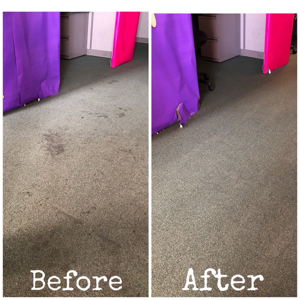 Photo of Williams Pro-Clean